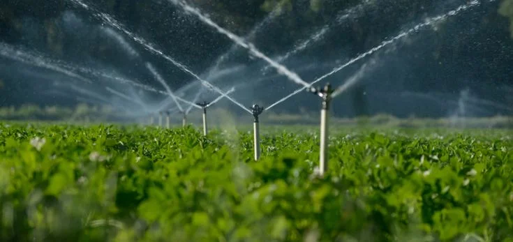 Aspersores regando un campo de cultivo